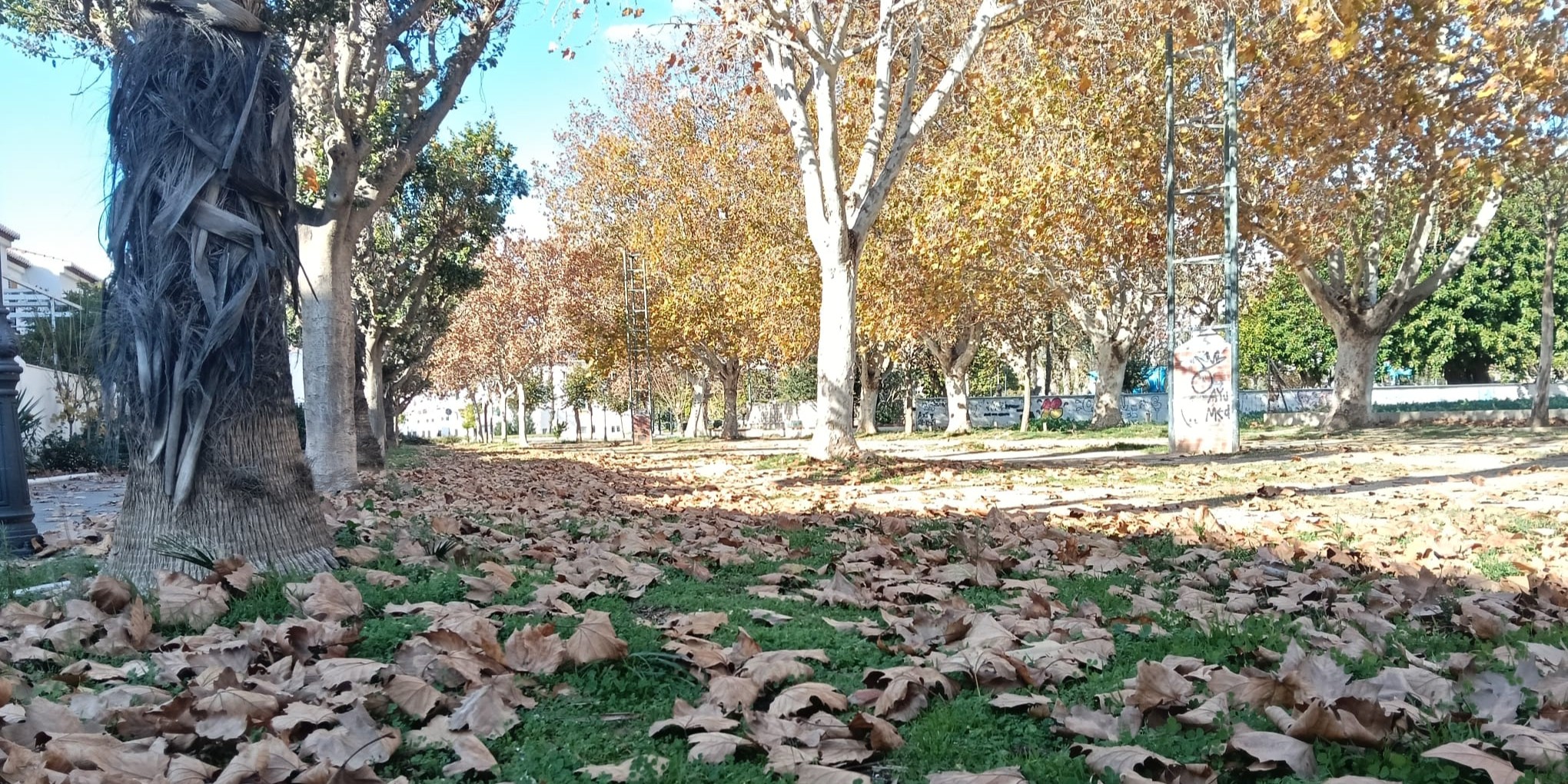 el-otono-de-despide-con-lluvia-en-motril-y-la-costa-de-granada-maximas-de-hasta-20o-y-minimas-que-bajan-a-10o-este-fin-de-semana