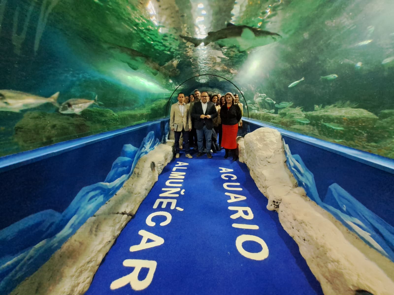 almunecar-reabre-su-acuario-mediterraneo-tras-cuatro-anos-1500-animales-en-20-recintos-y-tunel-panoramico-de-17-metros