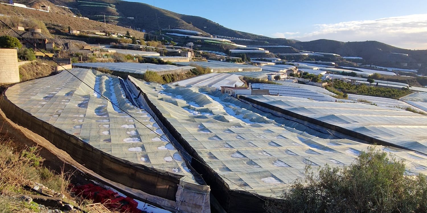 motril-el-temporal-y-la-granizada-causan-graves-danos-a-15-hectareas-en-invernaderos-de-la-costa-de-granada