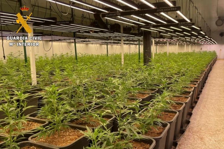 golpe-al-narcotrafico-en-pinos-puente-la-guardia-civil-despliega-un-amplio-operativo-para-reforzar-la-seguridad-y-el-principio-de-autoridad