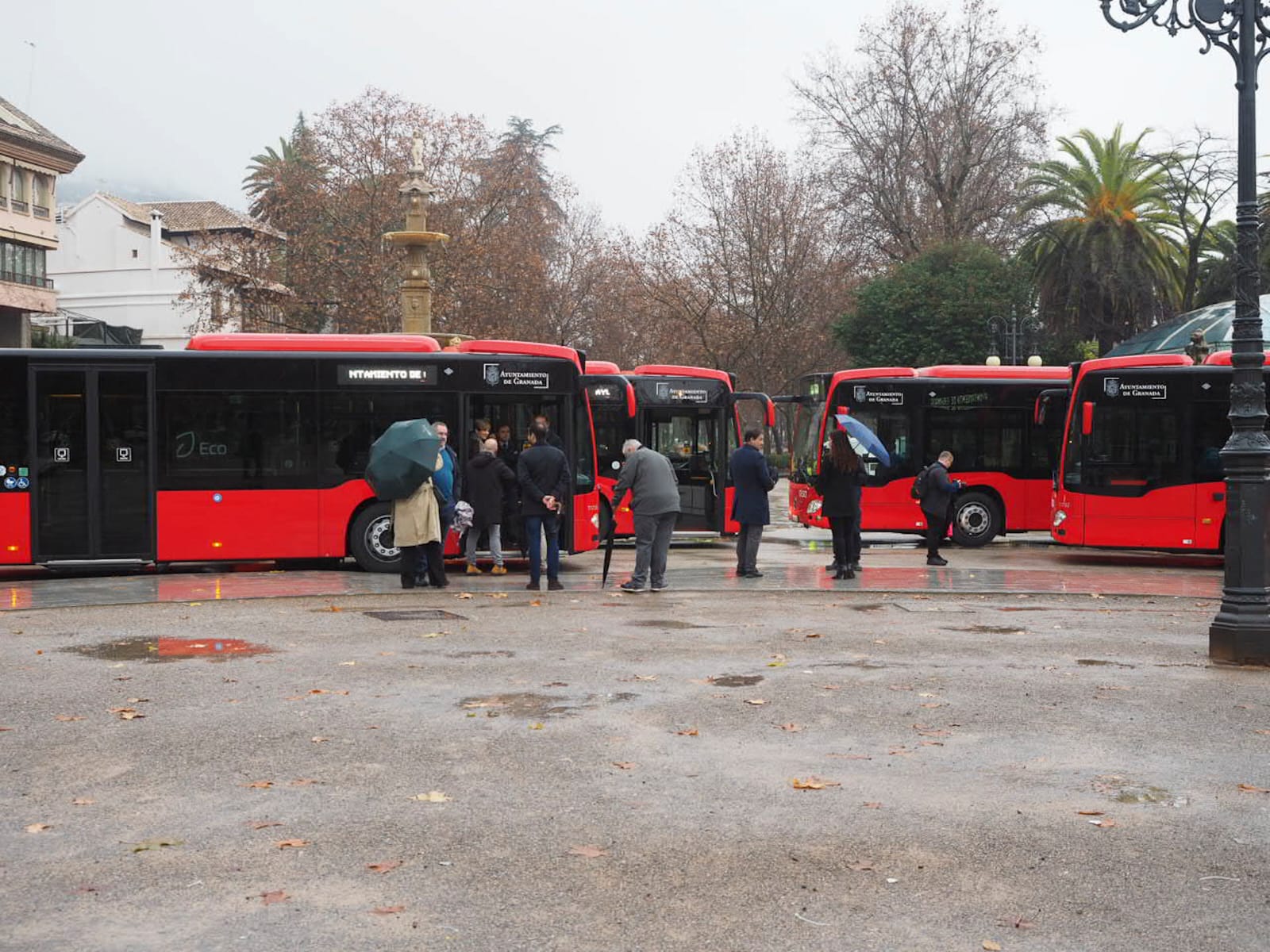 granada-la-renovacion-de-autobuses-no-supondra-cambios-inmediatos-en-frecuencias-ni-recorridos