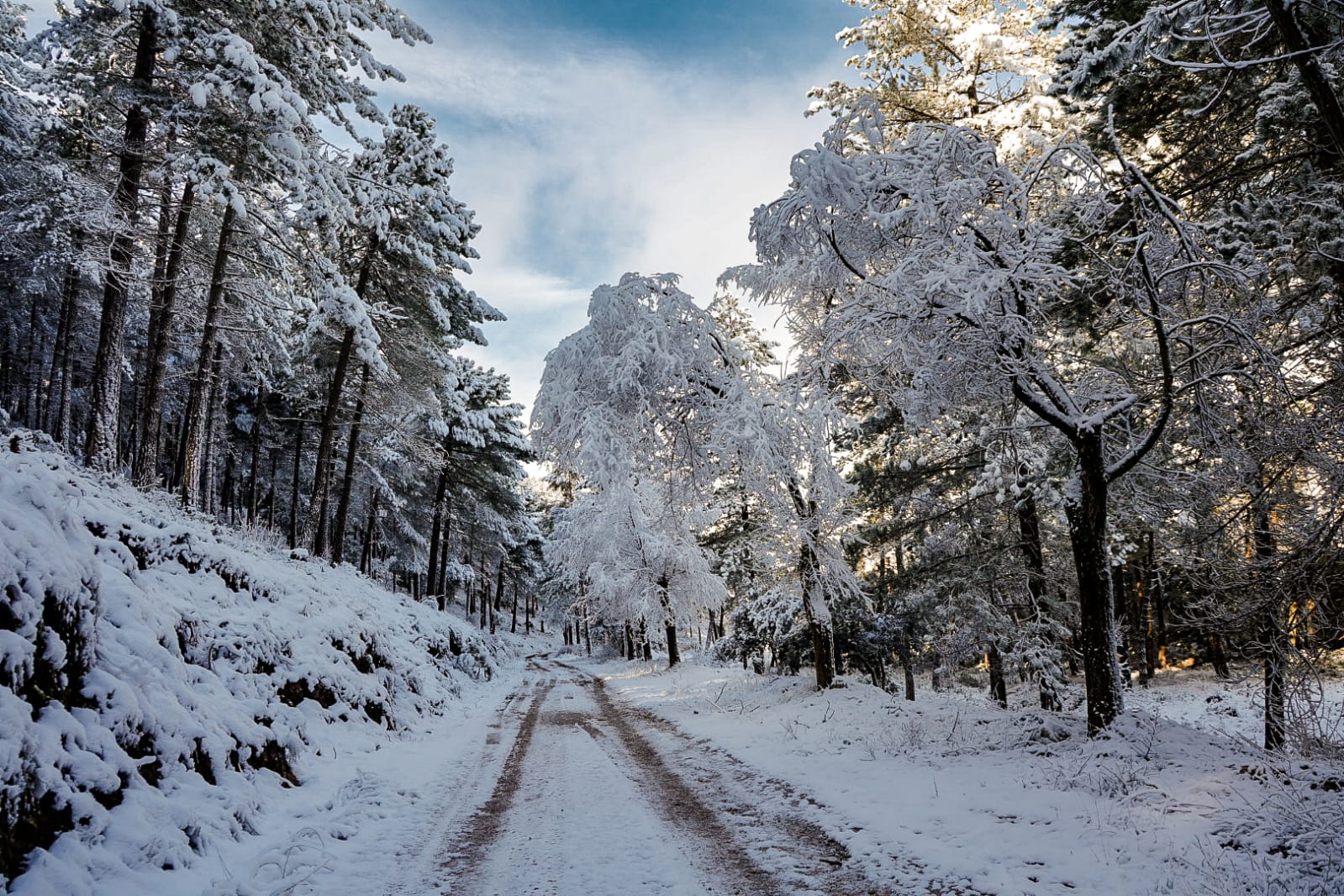 granada-aemet-activa-aviso-amarillo-por-nieve-frio-y-fuertes-vientos-en-51-municipios-del-norte-de-granada-alpujarra-y-sierra-nevada