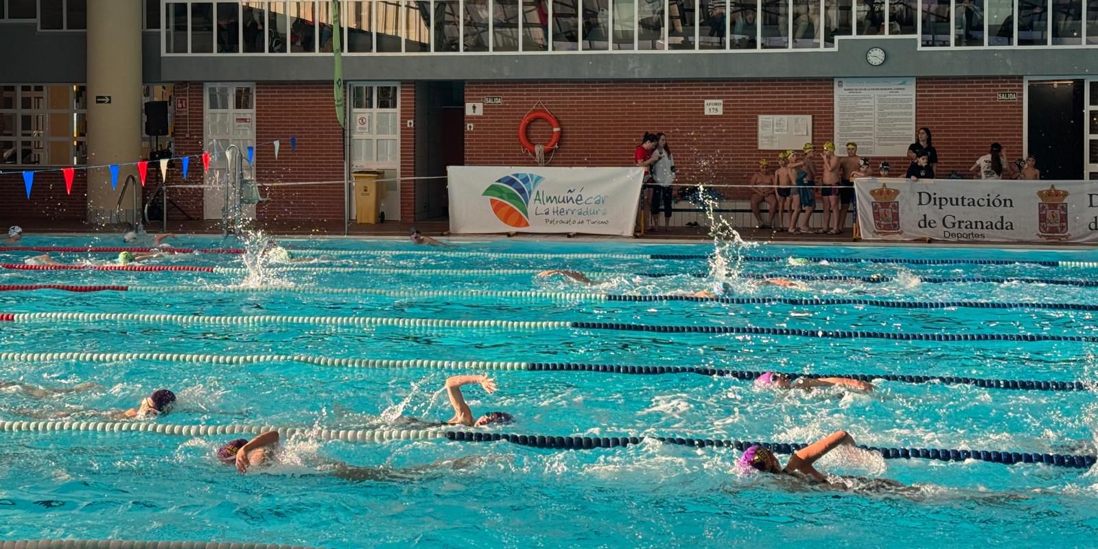 almunecar-reune-a-nadadores-de-salobrena-las-gabias-baza-albolote-huetor-tajar-ogijares-y-alhendin-en-el-circuito-provincial-de-natacion-de-invierno