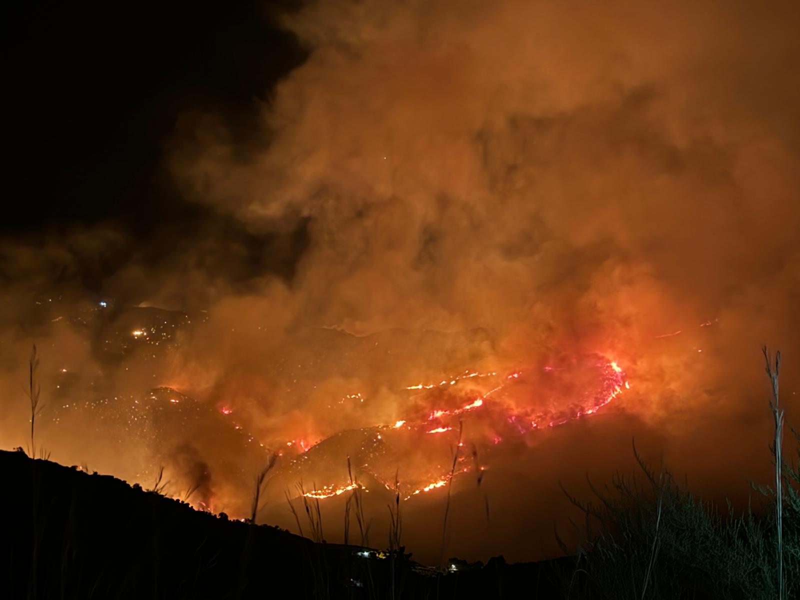 almunecar-activa-100-000-e-en-ayudas-directas-a-agricultores-afectados-por-el-incendio-de-2024-tras-recibir-luz-verde-de-la-junta