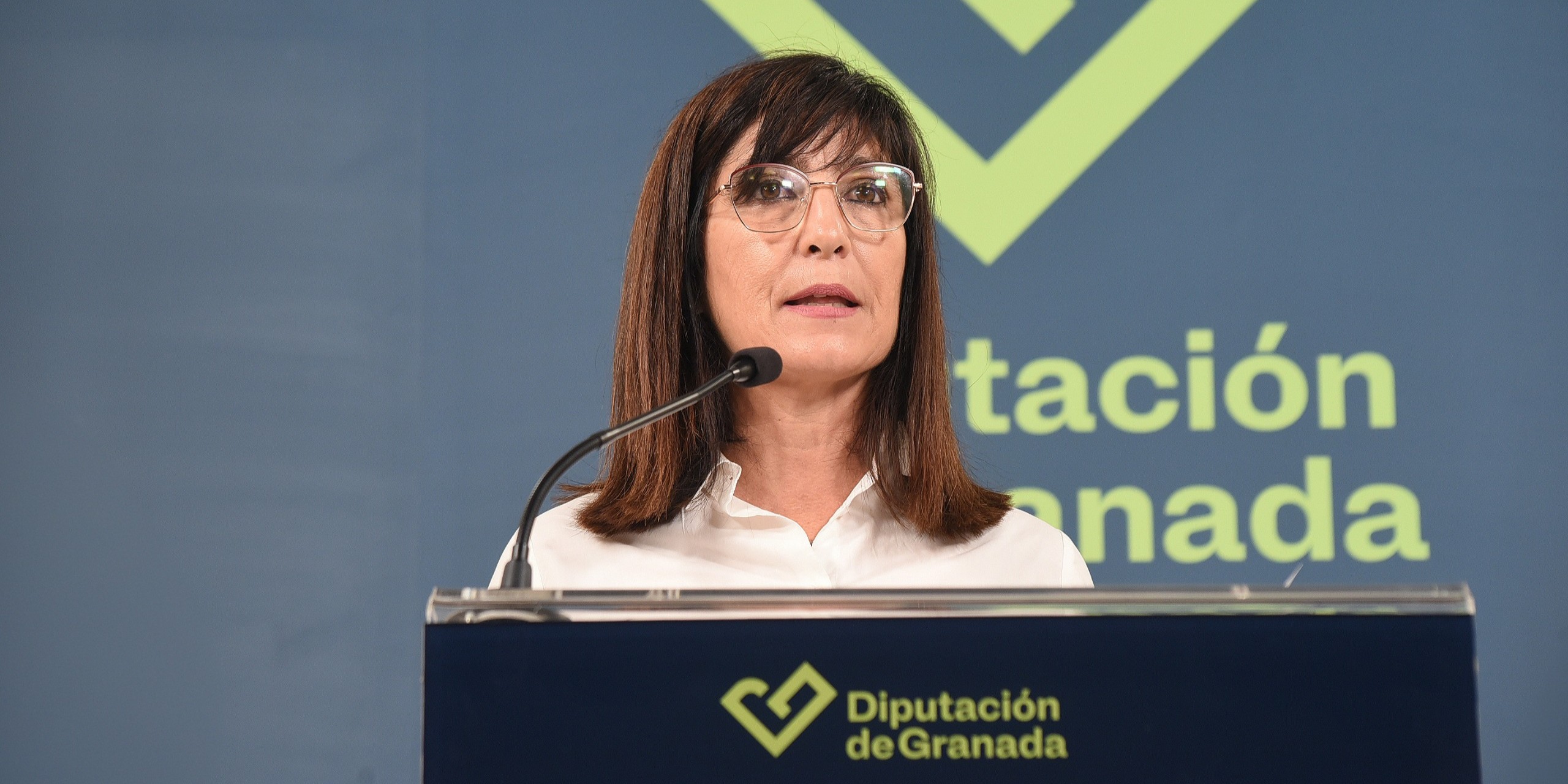 granada-la-diputacion-aprueba-476-000-euros-en-ayudas-culturales-y-educativas-para-2026-repartidas-en-cinco-lineas-de-actuacion