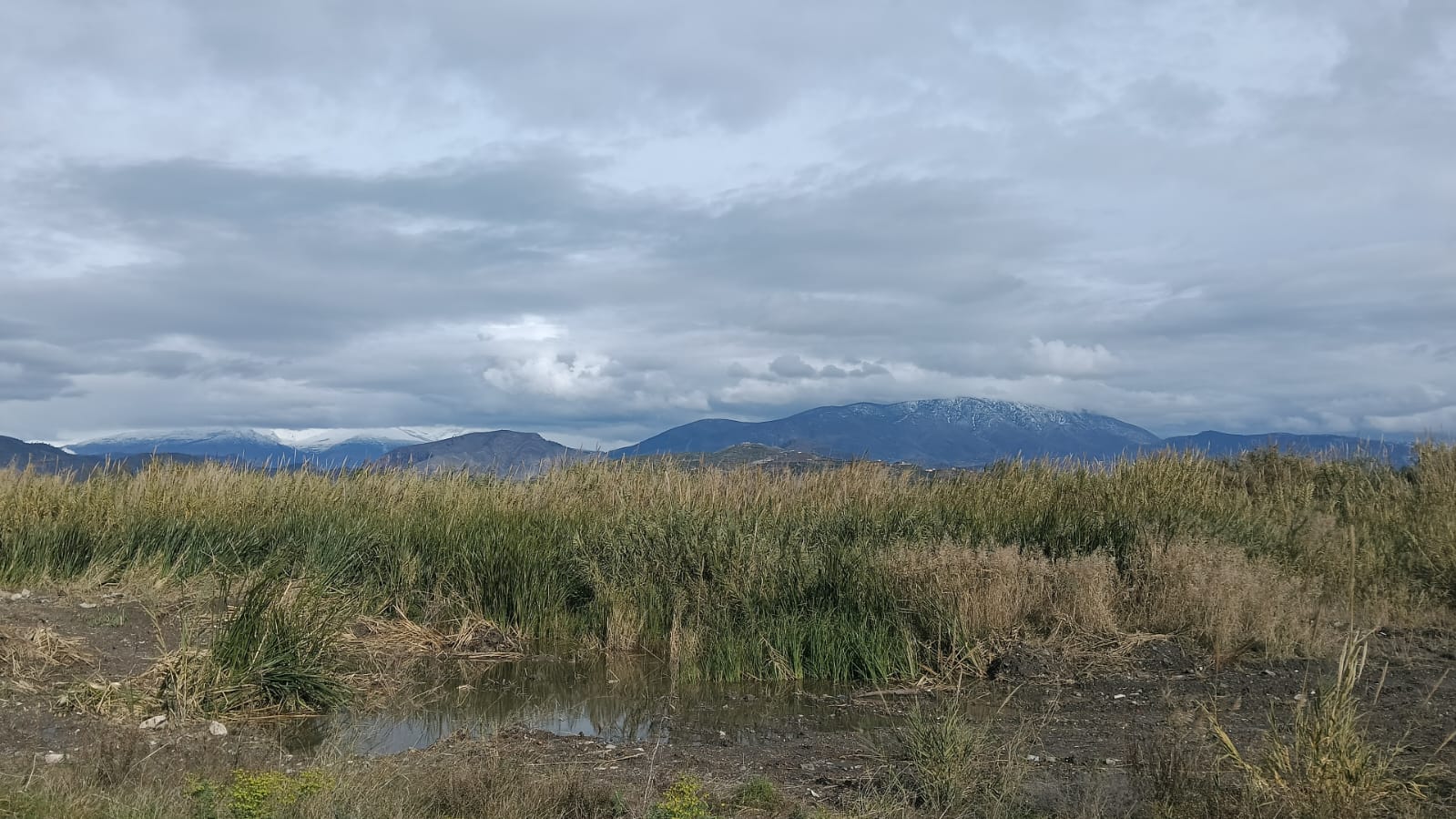 motril-alertas-amarillas-y-lluvias-persistentes-marcaran-la-semana-con-temperaturas-suaves-que-bajan-el-fin-de-semana