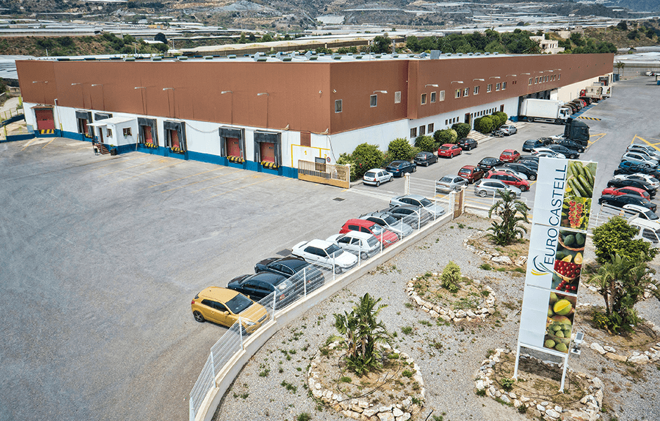 motril-grupo-la-cana-cierra-2025-con-209-millones-e-de-facturacion-110-millones-de-kilos-vendidos-y-1-315-empleados-fijos-reforzando-innovacion-y-sostenibilidad