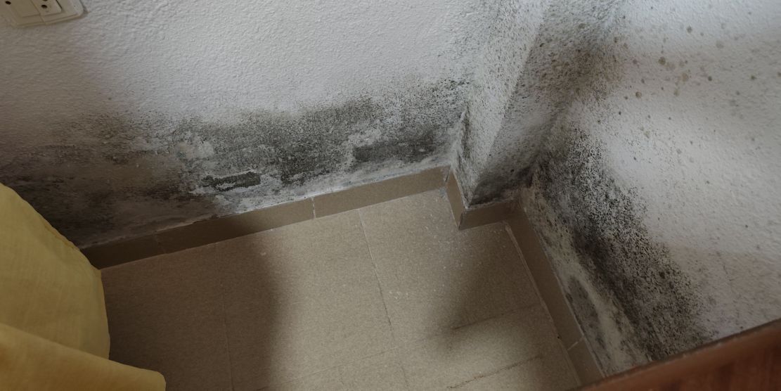 iu-de-almunecar-denuncia-el-grave-deterioro-de-viviendas-de-la-tercera-edad-por-goteras-y-humedades