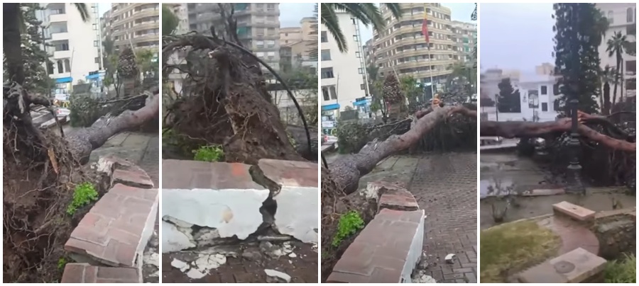 el-viento-huracanado-azota-la-costa-de-granada-y-provoca-incidencias-en-motril