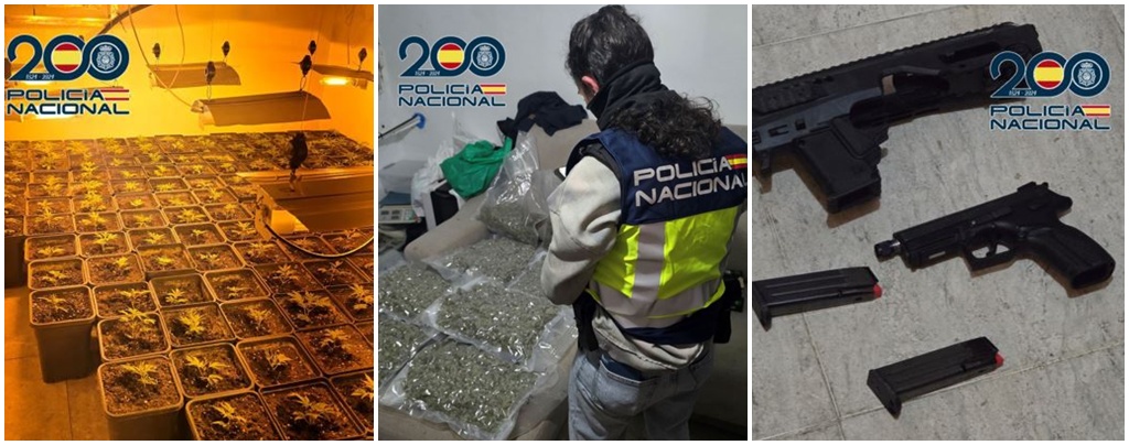 granada-operativo-policial-del-plan-norte-cinco-registros-domiciliarios-820-plantas-de-cannabis-incautadas-y-205-viviendas-con-conexiones-electricas-ilegales
