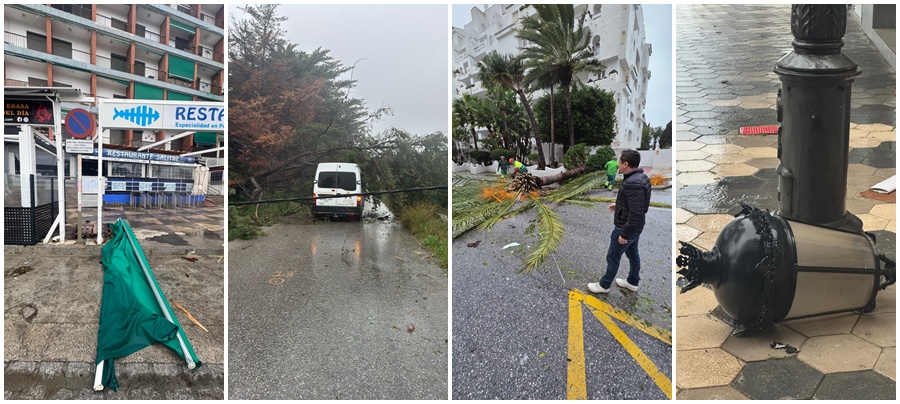 almunecar-la-herradura-la-borrasca-kristin-provoca-la-caida-de-arboles-y-palmeras-y-mantiene-activados-a-todos-los-servicios-de-emergencia