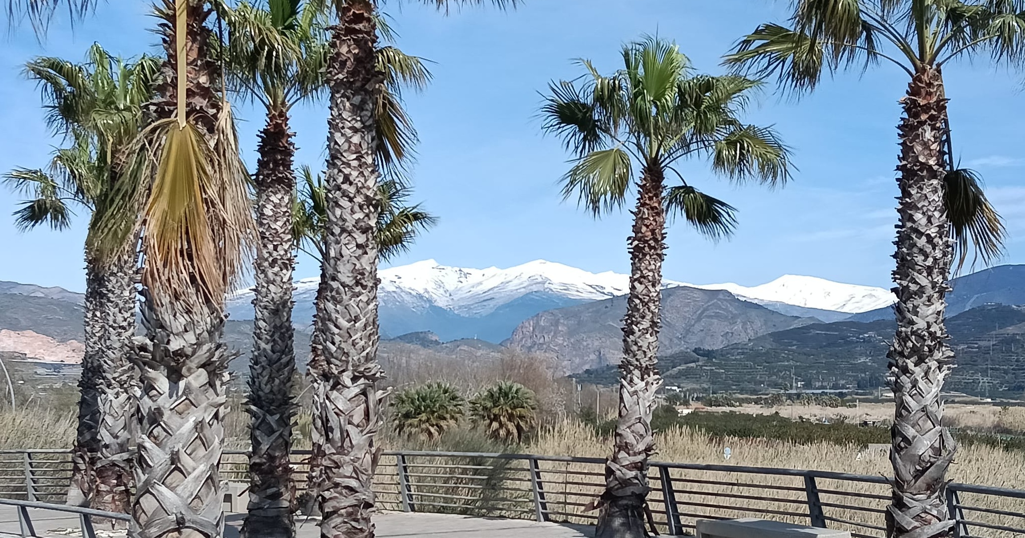 motril-hoy-se-alcanzaran-los-24oc-en-la-costa-de-granada-con-cielos-despejados