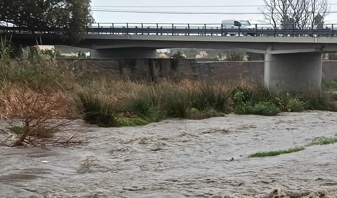 salobrena-dos-perros-rescatados-tras-quedar-atrapados-varios-dias-en-un-pequeno-banco-de-tierra-del-rio-guadalfeo