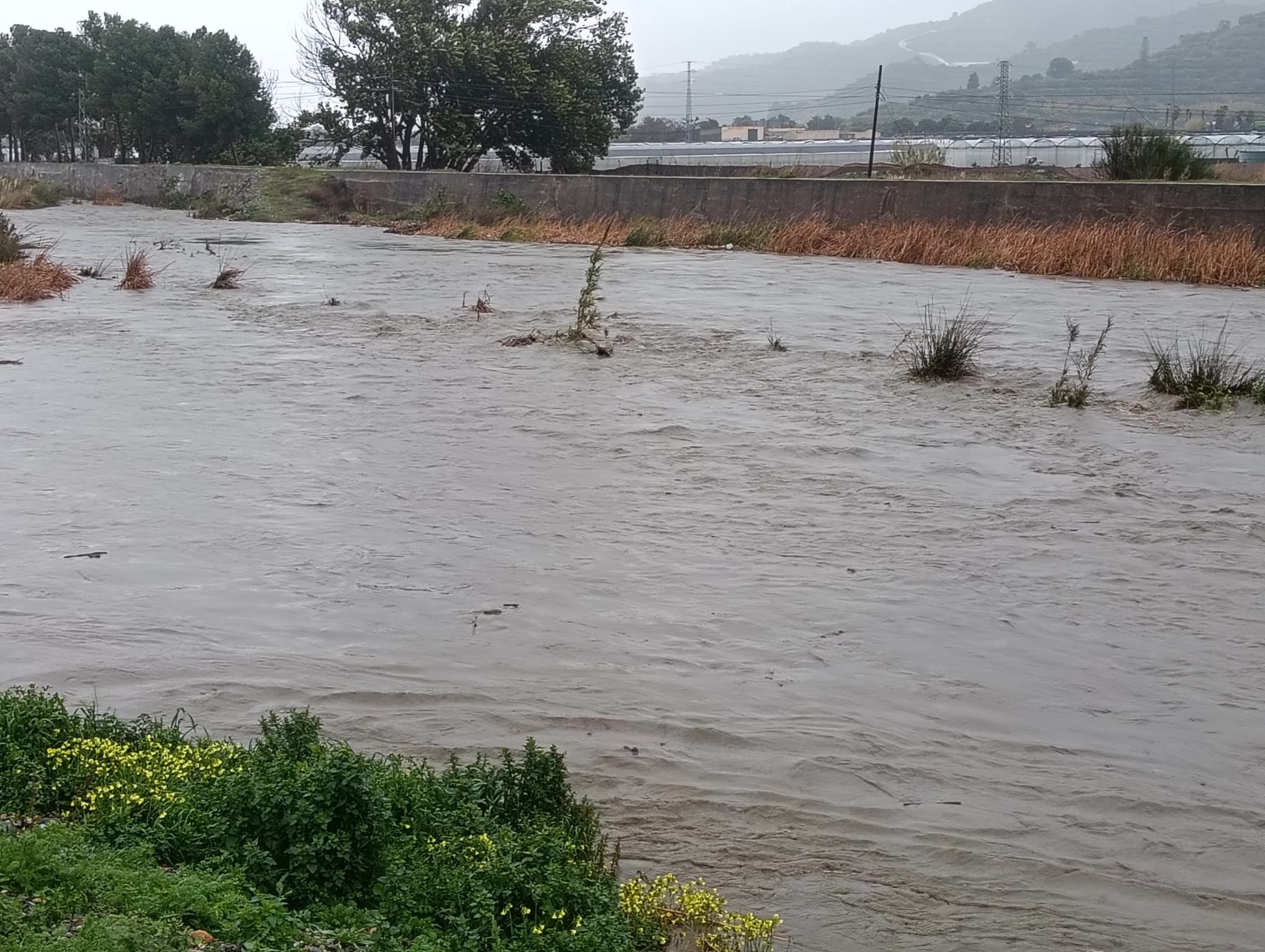 granada-en-maxima-alerta-rios-desbordados-embalses-al-limite-y-desembalses-preventivos-por-el-temporal