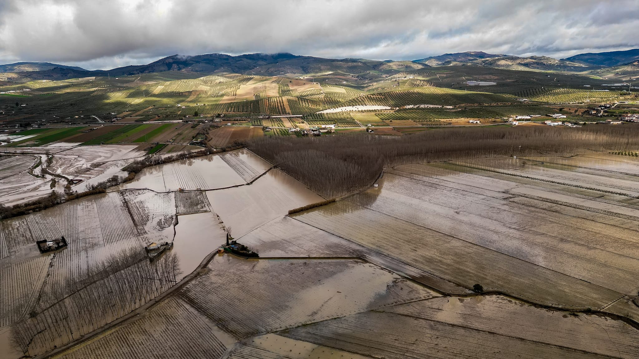 granada-el-temporal-deja-perdidas-de-hasta-el-55-en-cultivos-del-campo-en-la-provincia