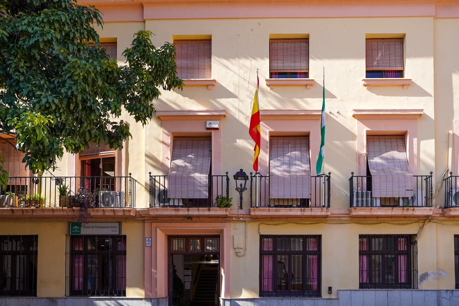 la-junta-de-andalucia-licita-la-gestion-del-bar-cafeteria-del-centro-de-participacion-activa-de-motril-para-fomentar-el-bienestar-de-mayores