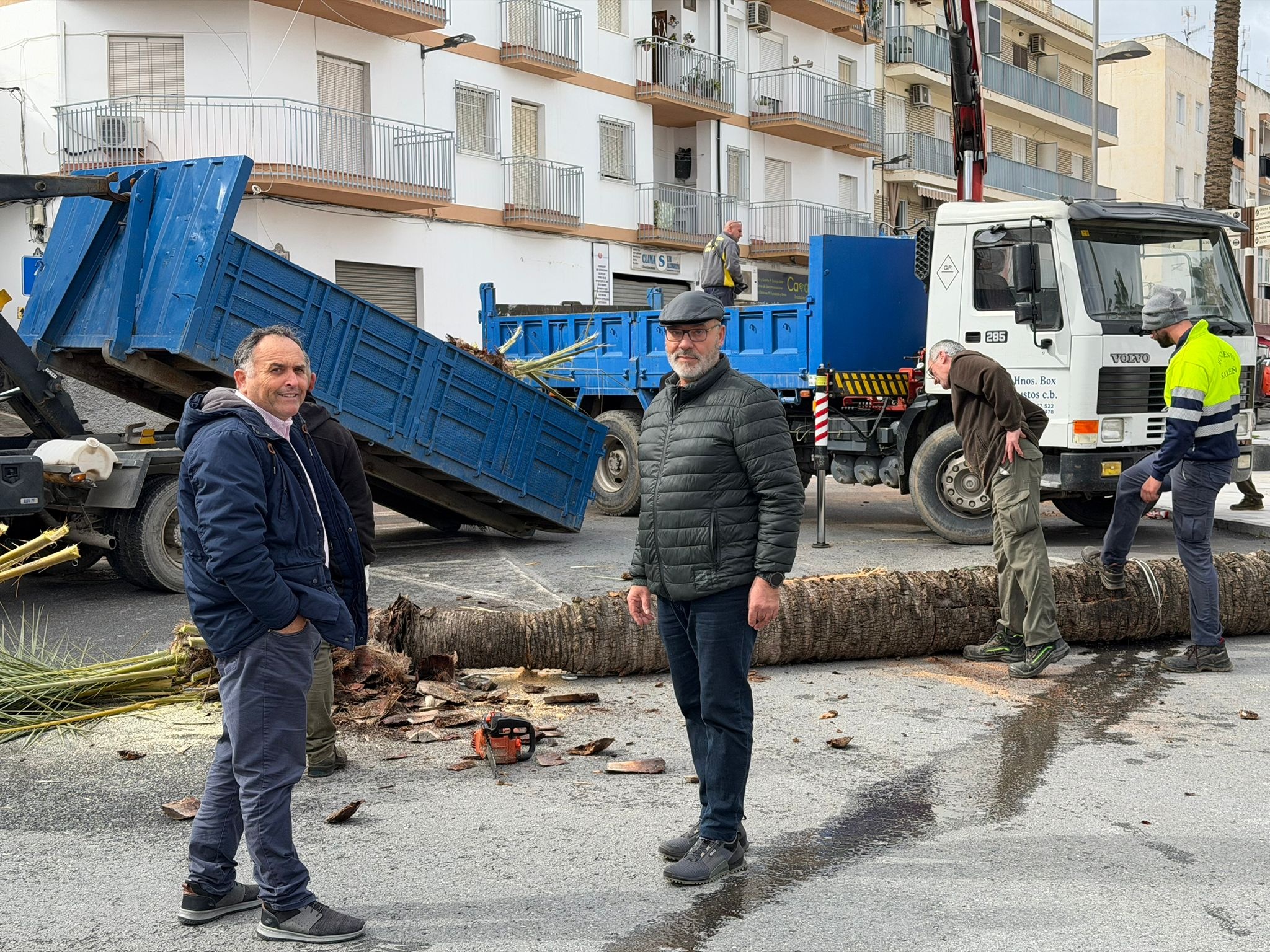 salobrena-actua-de-urgencia-ante-la-nueva-borrasca-tala-preventiva-de-palmeras-para-evitar-desplomes-y-danos-graves
