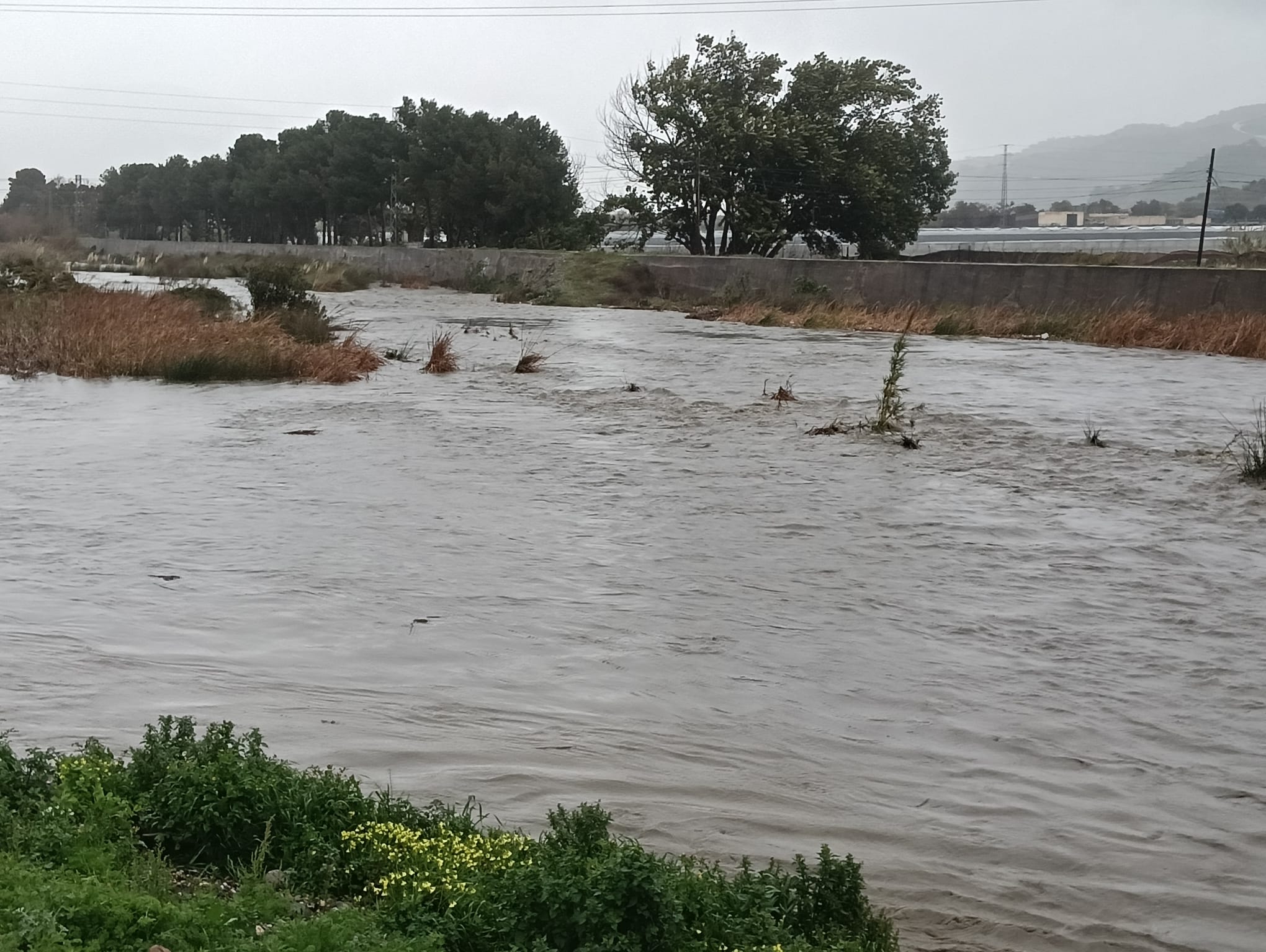 granada-1-322-incidencias-por-la-borrasca-leonardo-mientras-persisten-restricciones-y-cortes-de-carretera