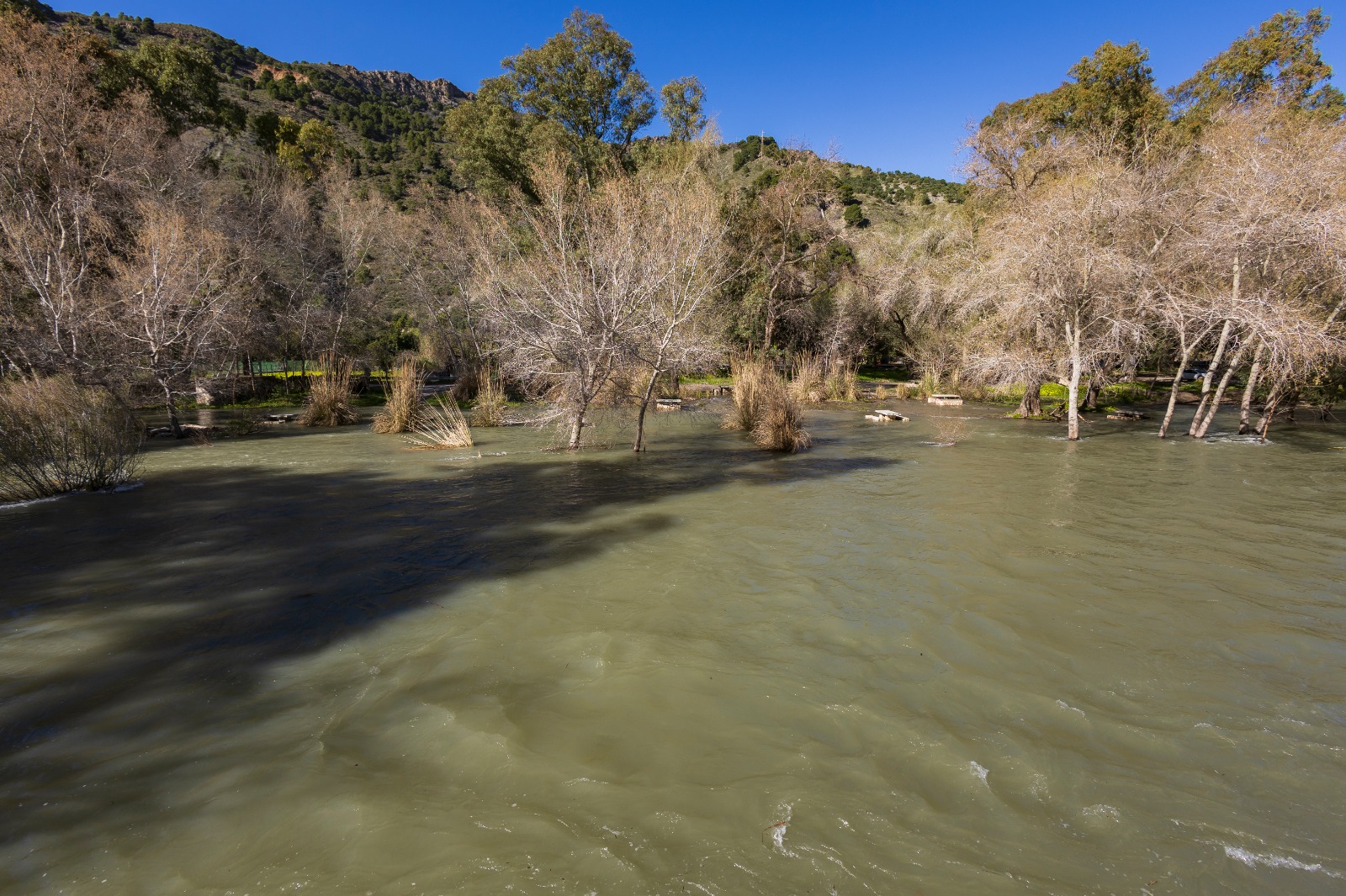 granada-el-temporal-deja-mas-de-un-centenar-de-desalojados-en-la-provincia-antes-de-una-tregua-meteorologica-desde-el-sabado