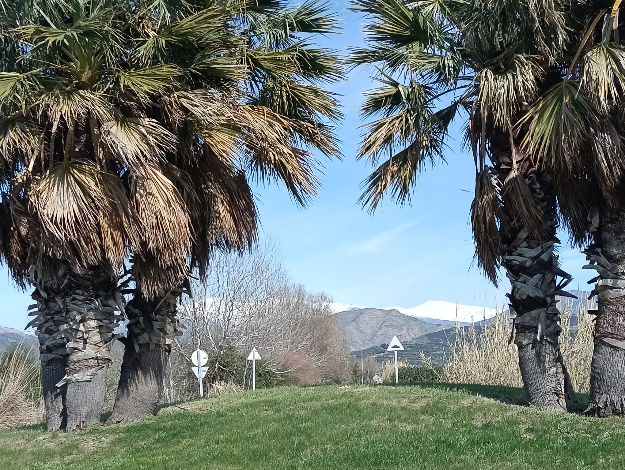 motril-lunes-soleado-y-sin-lluvias-en-la-costa-de-granada-con-maximas-de-hasta-23oc