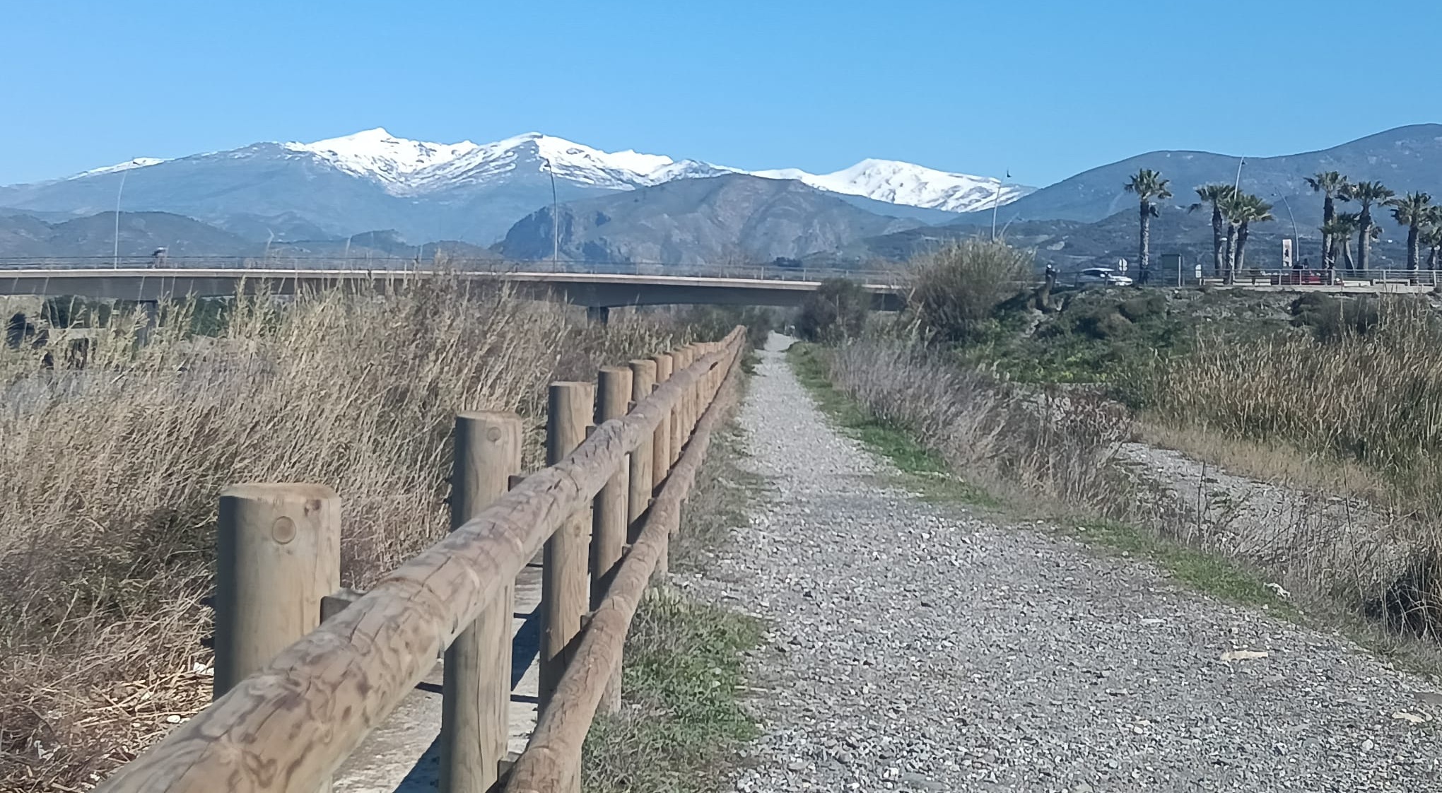 motril-la-costa-de-granada-alcanzara-hoy-los-24-grados-bajo-aviso-amarillo-por-viento-y-fenomenos-costeros