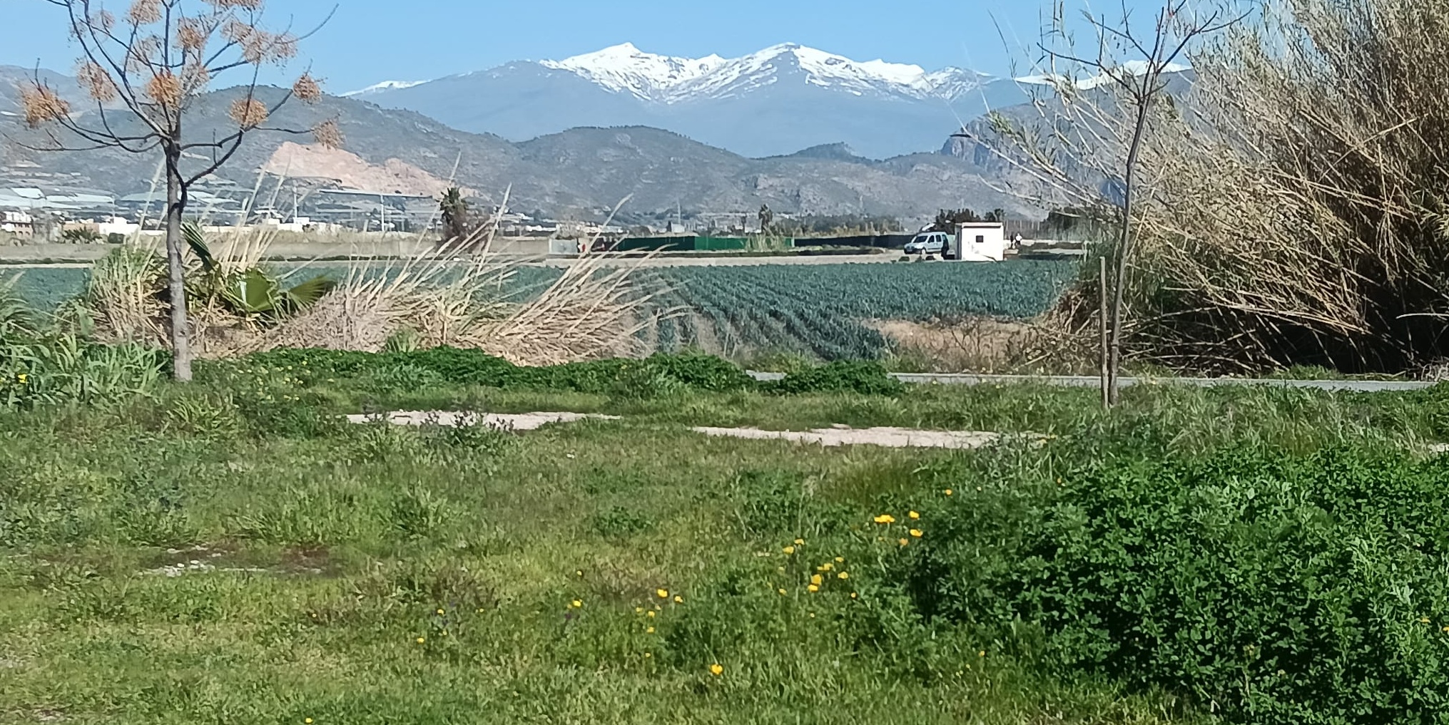 motril-jornada-primaveral-en-la-costa-de-granada-sol-estabilidad-y-maximas-de-hasta-21-grados