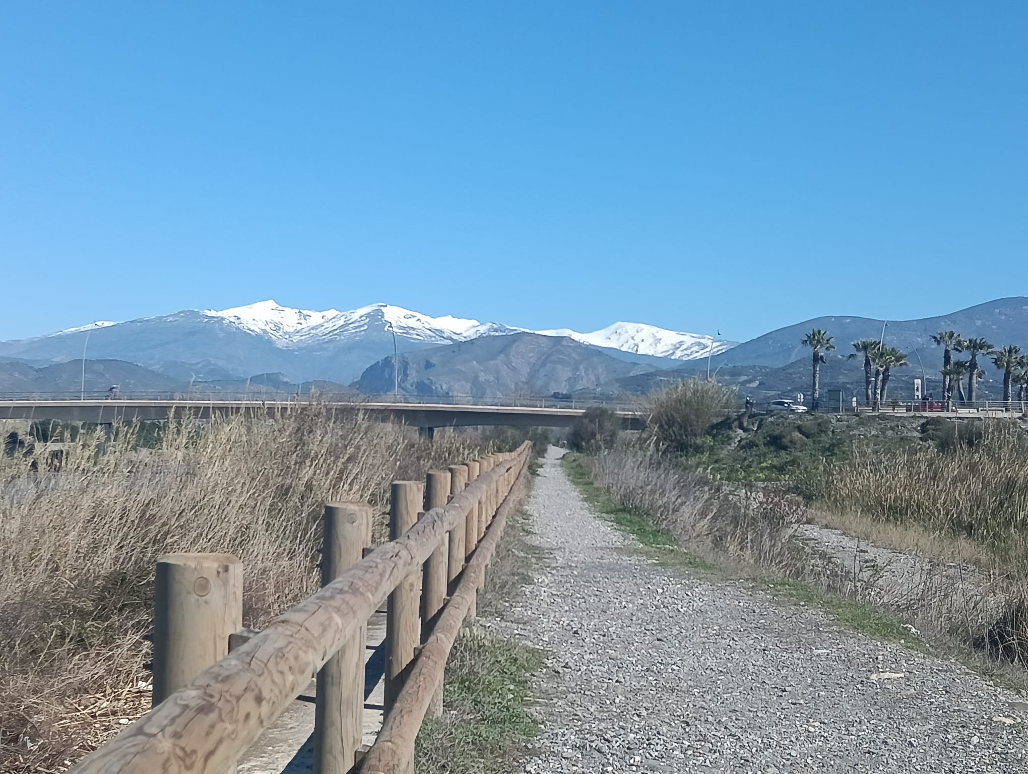 motril-sol-hasta-22-grados-y-carril-extra-en-la-cn-323-en-la-costa-se-espera-gran-afluencia-de-visitantes-para-hoy-domingo