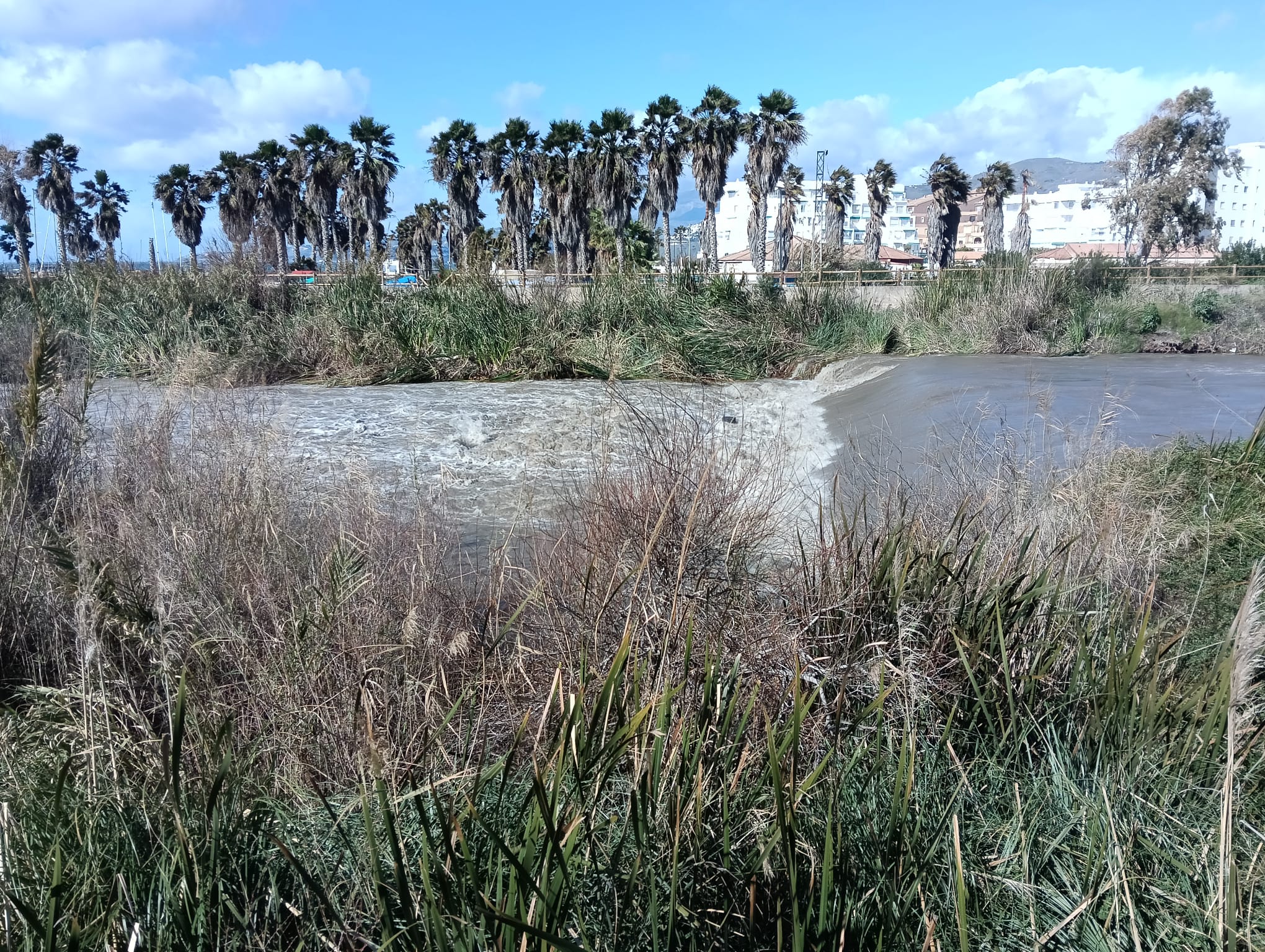 motril-sol-temperaturas-suaves-y-sabor-a-primavera-la-costa-de-granada-disfruta-de-una-semana-para-vivirla-al-aire-libre