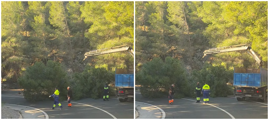 el-viento-derriba-un-arbol-y-provoca-cortes-intermitentes-en-la-a-4133-entre-motril-y-el-tunel-de-la-gorgoracha