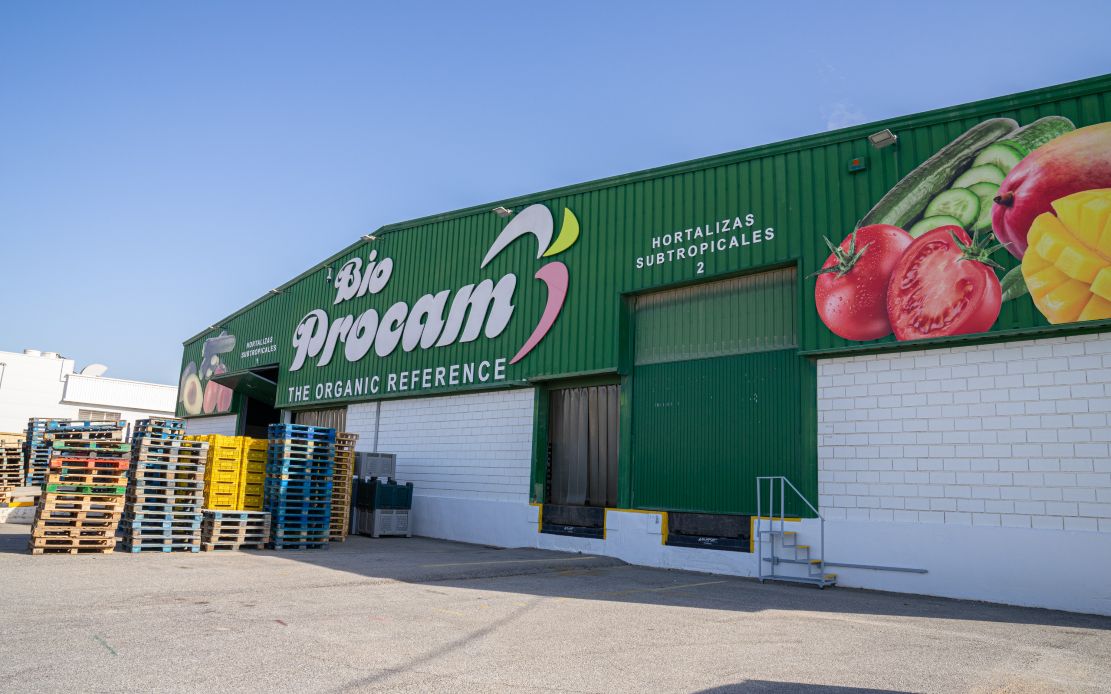 motril-bioprocam-llevara-a-fruit-logistica-2025-su-liderazgo-en-aguacate-mango-y-hortalizas-ecologicas-de-la-costa-tropical