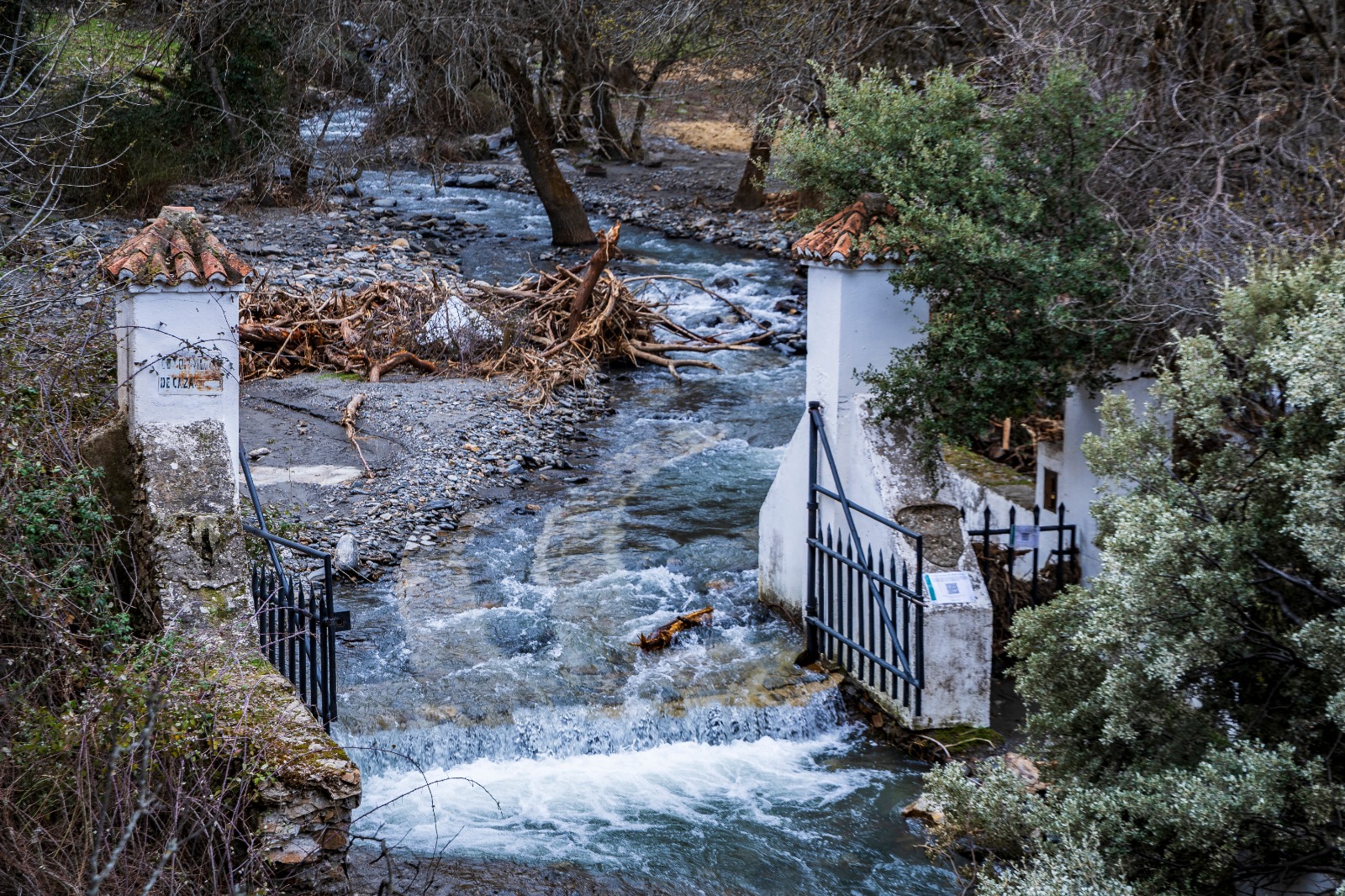 granada-un-mes-despues-de-las-lluvias-el-bosque-encantado-sigue-sin-recuperar-su-recorrido-habitual