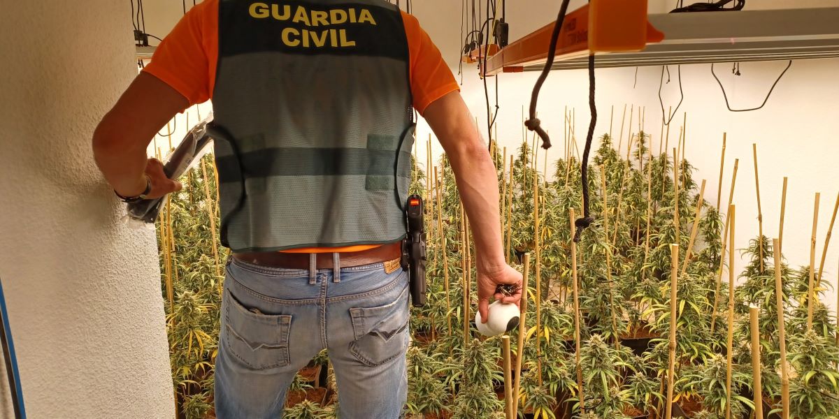 granada-enfrentamiento-en-loja-entre-dos-familias-acaba-con-seis-detenidos-y-descubrimiento-de-cultivo-de-cannabis