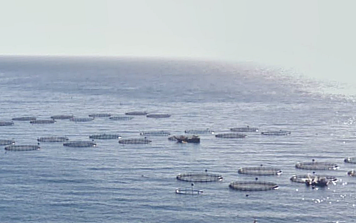 salobrena-una-operacion-submarina-logra-extraer-cuatro-toneladas-de-restos-de-piscifactoria-en-los-fondos-protegidos