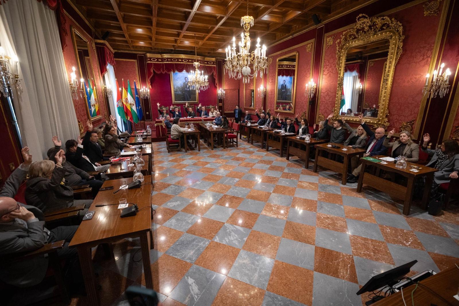 granada-se-compromete-en-pleno-a-derribar-barreras-para-las-personas-con-sindrome-de-down-y-reforzar-su-inclusion-en-educacion-empleo-y-servicios-publicos