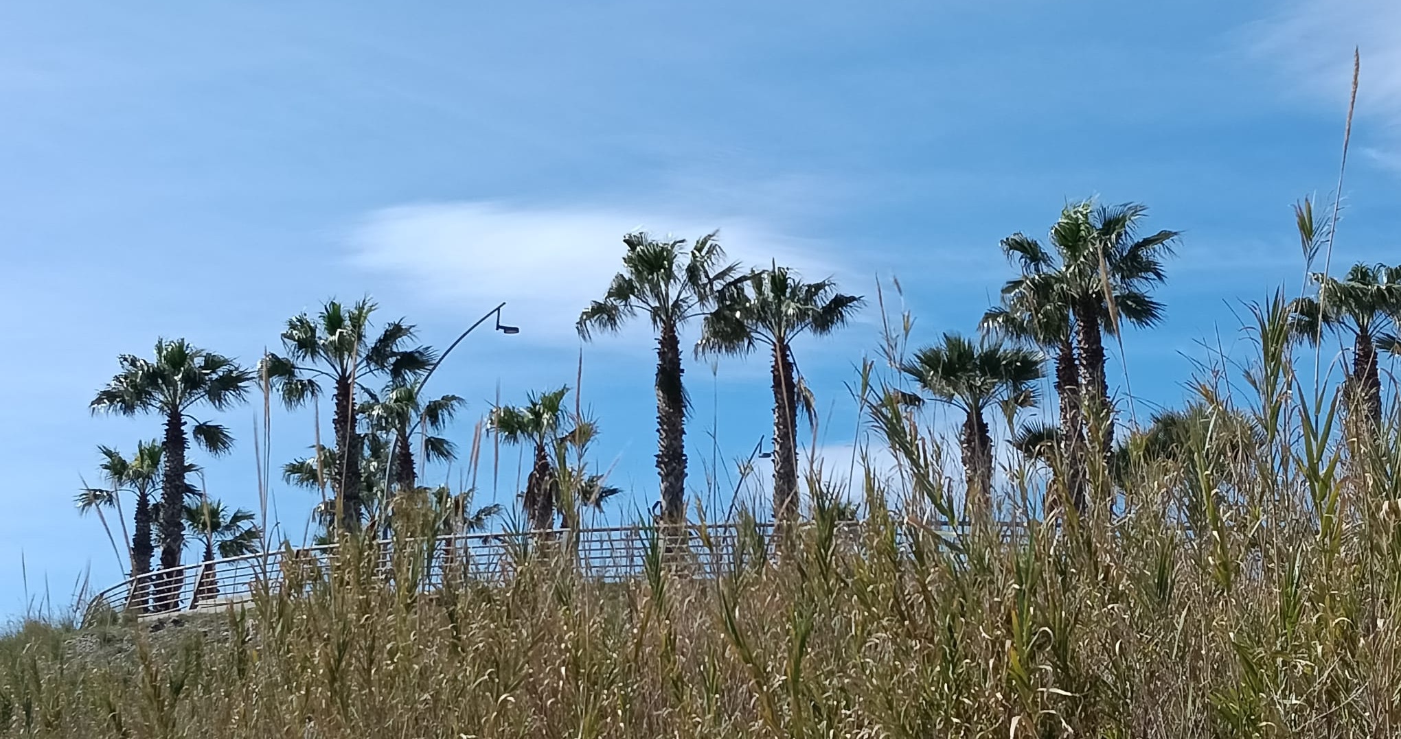 motril-la-costa-de-granada-activa-el-aviso-amarillo-por-mala-mar-en-un-dia-de-tiempo-inestable