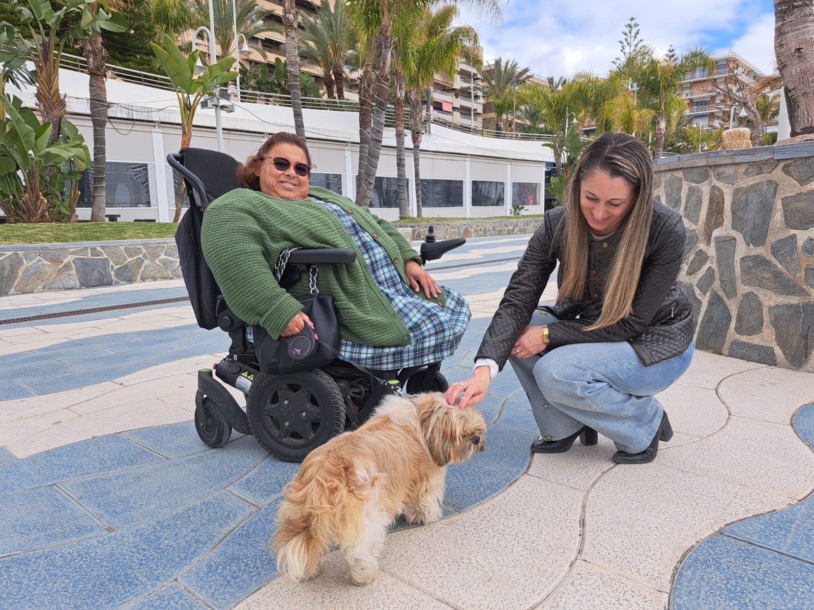 almunecar-realiza-inspecciones-sobre-tenencia-de-mascotas-tres-denuncias-y-multas-de-hasta-10-000-euros