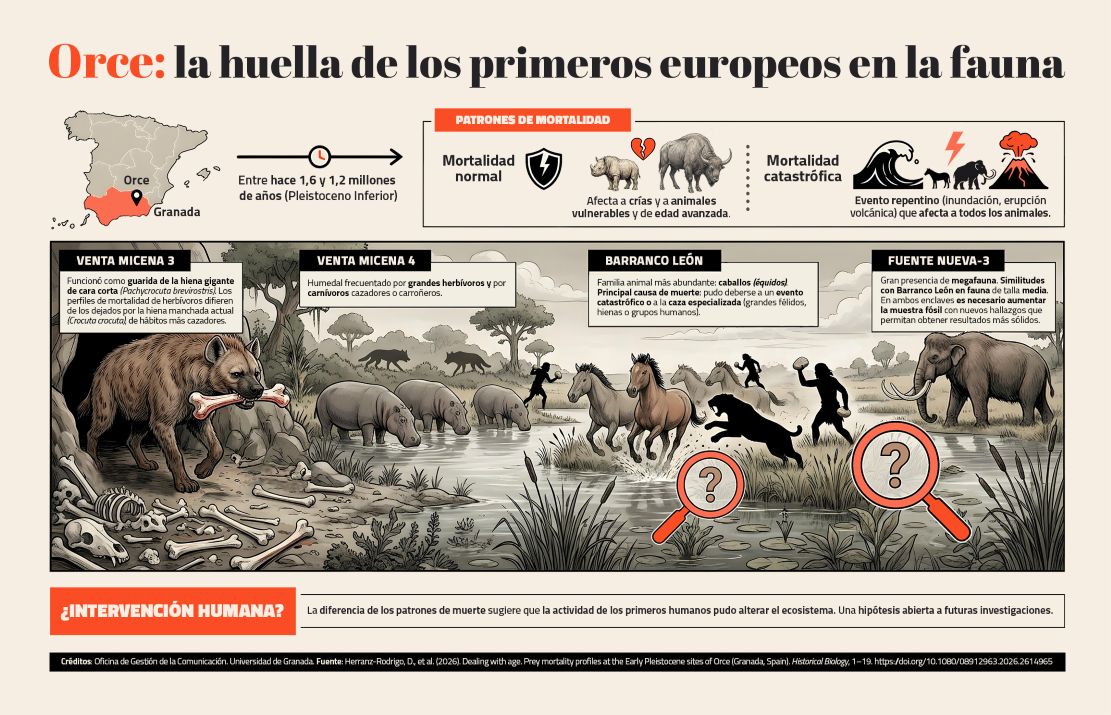 granada-un-estudio-internacional-en-orce-redefine-la-formacion-de-sus-yacimientos-y-vincula-la-actividad-humana-a-cambios-en-la-fauna-del-pleistoceno