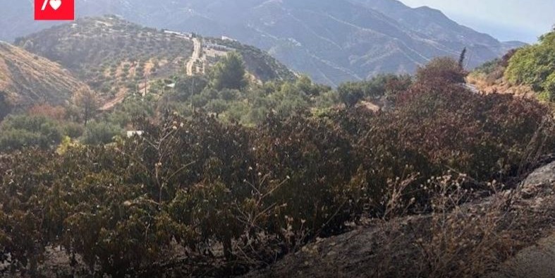 el-psoe-de-almunecar-exige-explicaciones-inmediatas-por-el-cobro-del-ibi-rustico-a-familias-afectadas-por-el-incendio-de-2024