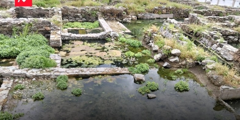 almunecar-el-psoe-alerta-del-riesgo-patrimonial-y-sanitario-en-el-parque-el-majuelo