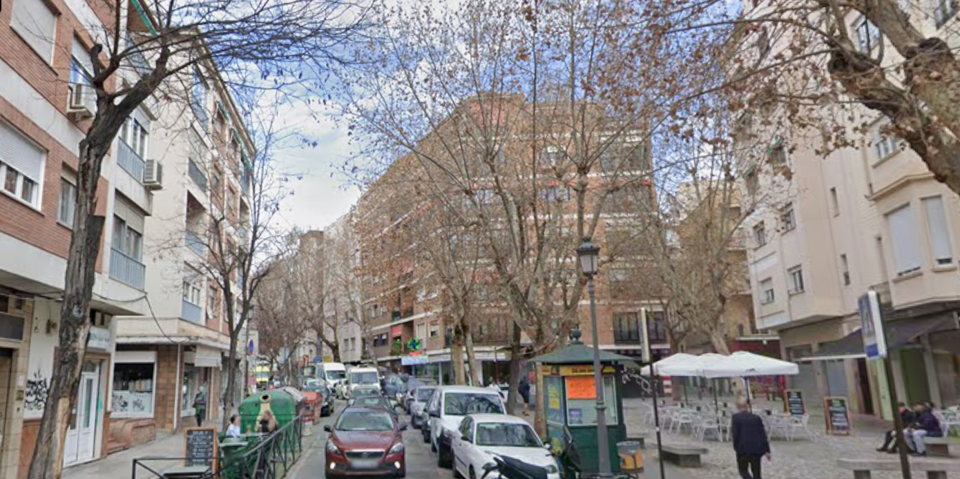 el-viento-golpea-granada-una-sanitaria-herida-y-decenas-de-incidencias-por-la-caida-de-arboles-y-ramas