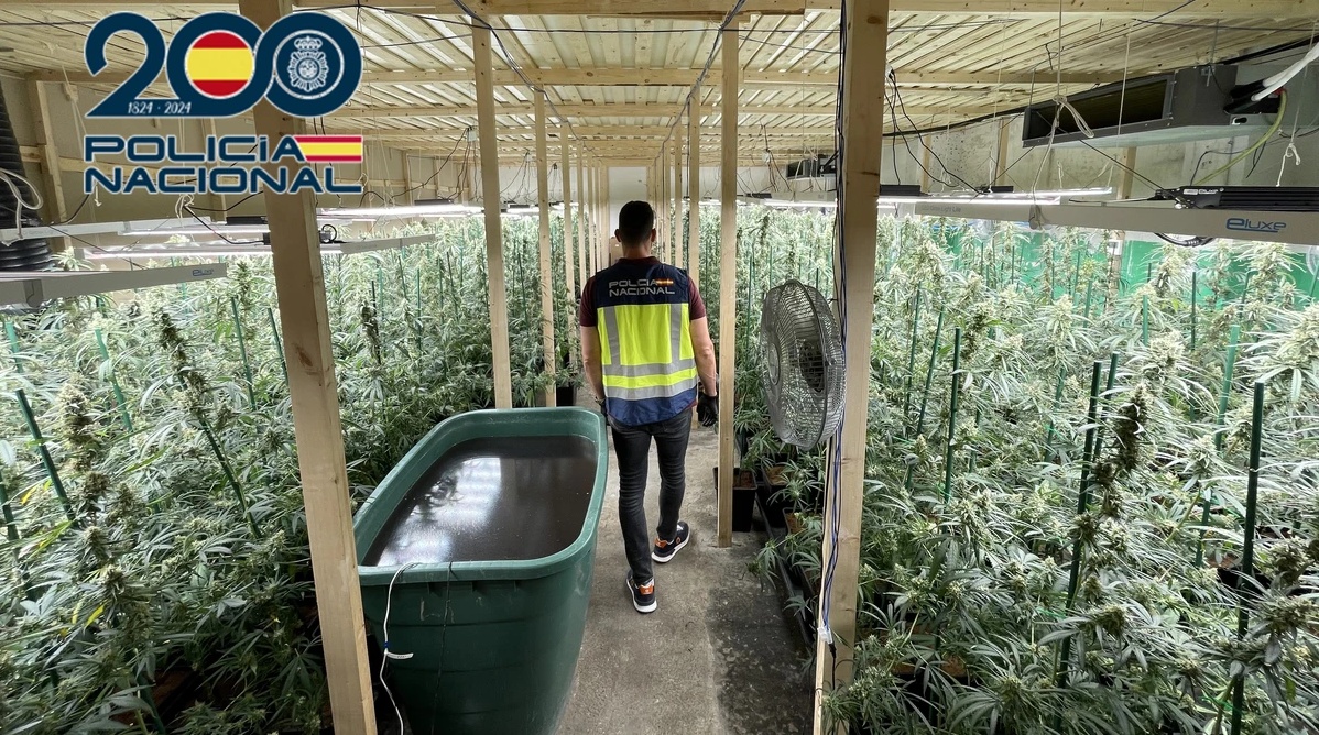 ocho-operaciones-antidroga-en-motril-granada-y-baza-saldan-con-28-detenidos-mas-de-8-000-plantas-y-480-sanciones-por-consumo