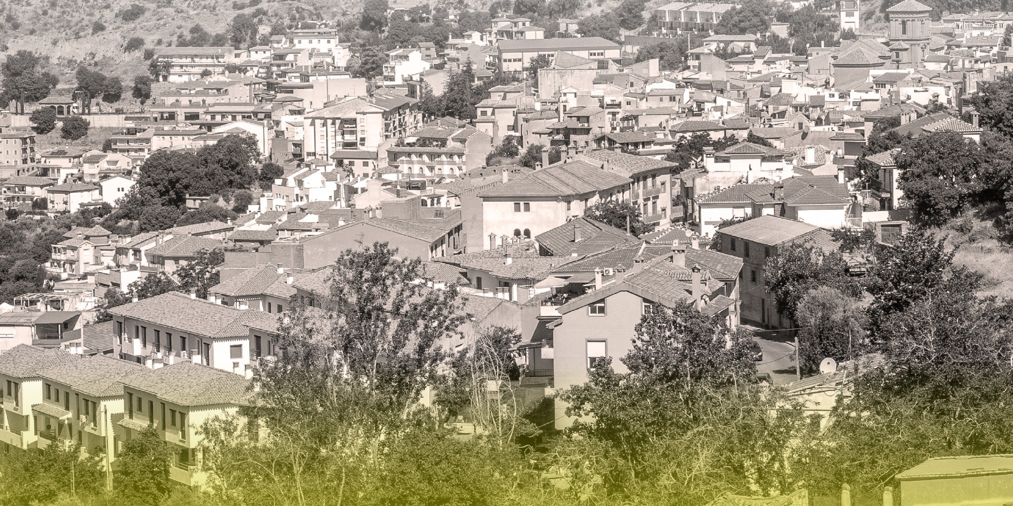 granada-las-cooperativas-agroalimentarias-con-el-apoyo-de-la-diputacion-impulsan-una-campana-para-frenar-la-despoblacion-rural