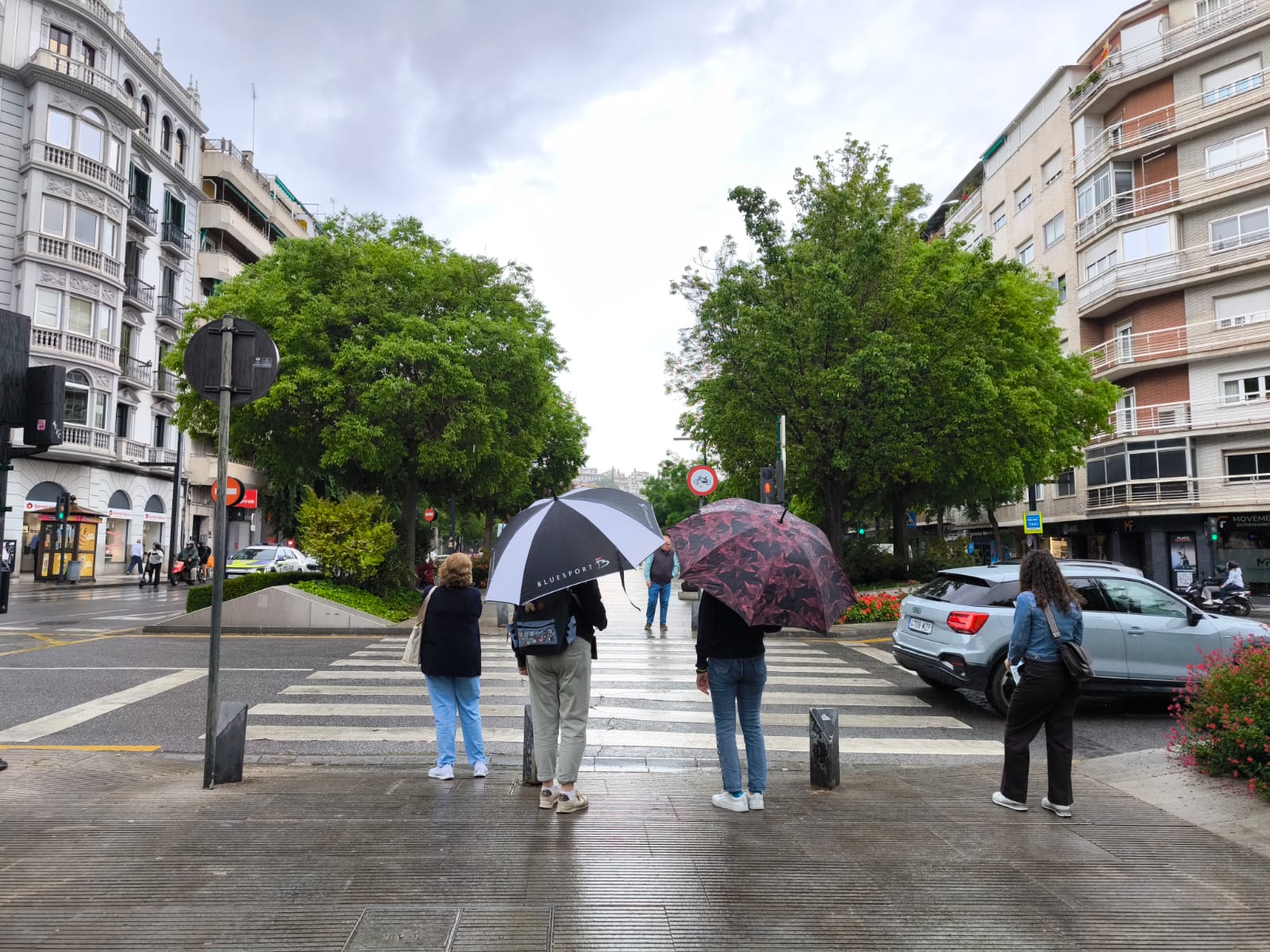 granada-bajo-la-lluvia-un-fin-de-semana-de-chubascos-persistentes-y-temperaturas-suaves