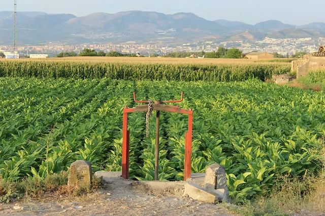 las-gabias-el-ayuntamiento-impulsa-dos-proyectos-agua-para-el-campo-y-nueva-transformacion-urbana