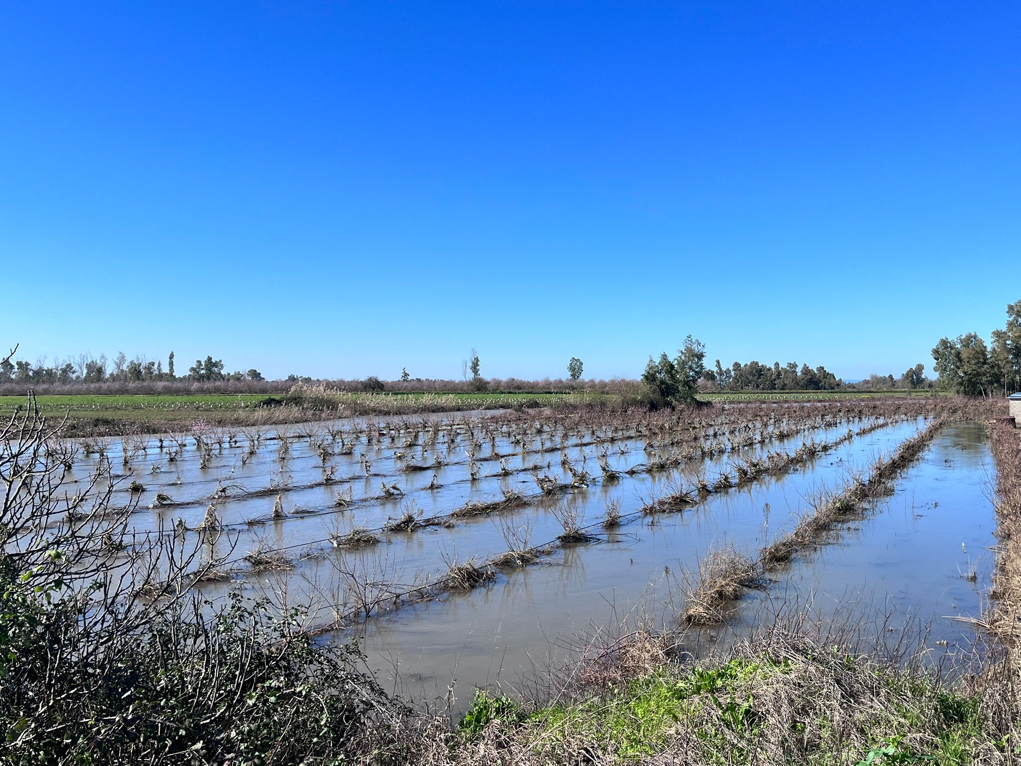 abierto-el-plazo-para-la-ayuda-historica-del-invierno-240-000-agricultores-podran-compensar-perdidas-por-las-borrascas