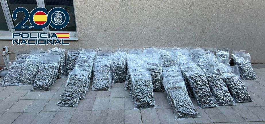 granada-detenido-en-la-a-92-un-camionero-croata-con-100-kilos-de-marihuana-ocultos-entre-productos-quimicos