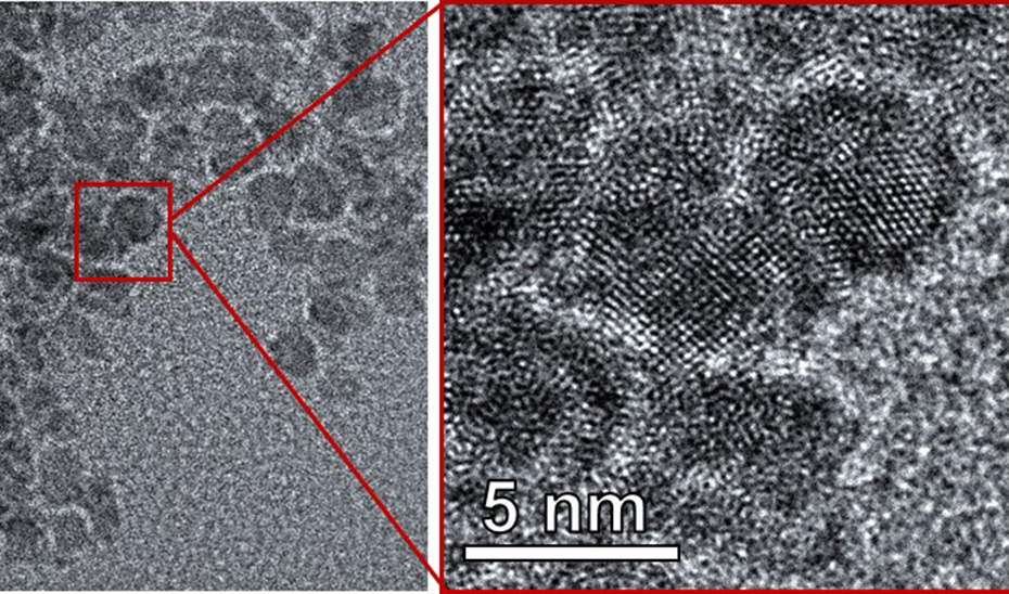 nanoparticulas-disenadas-en-sevilla-eliminan-bacterias-resistentes-a-antibioticos