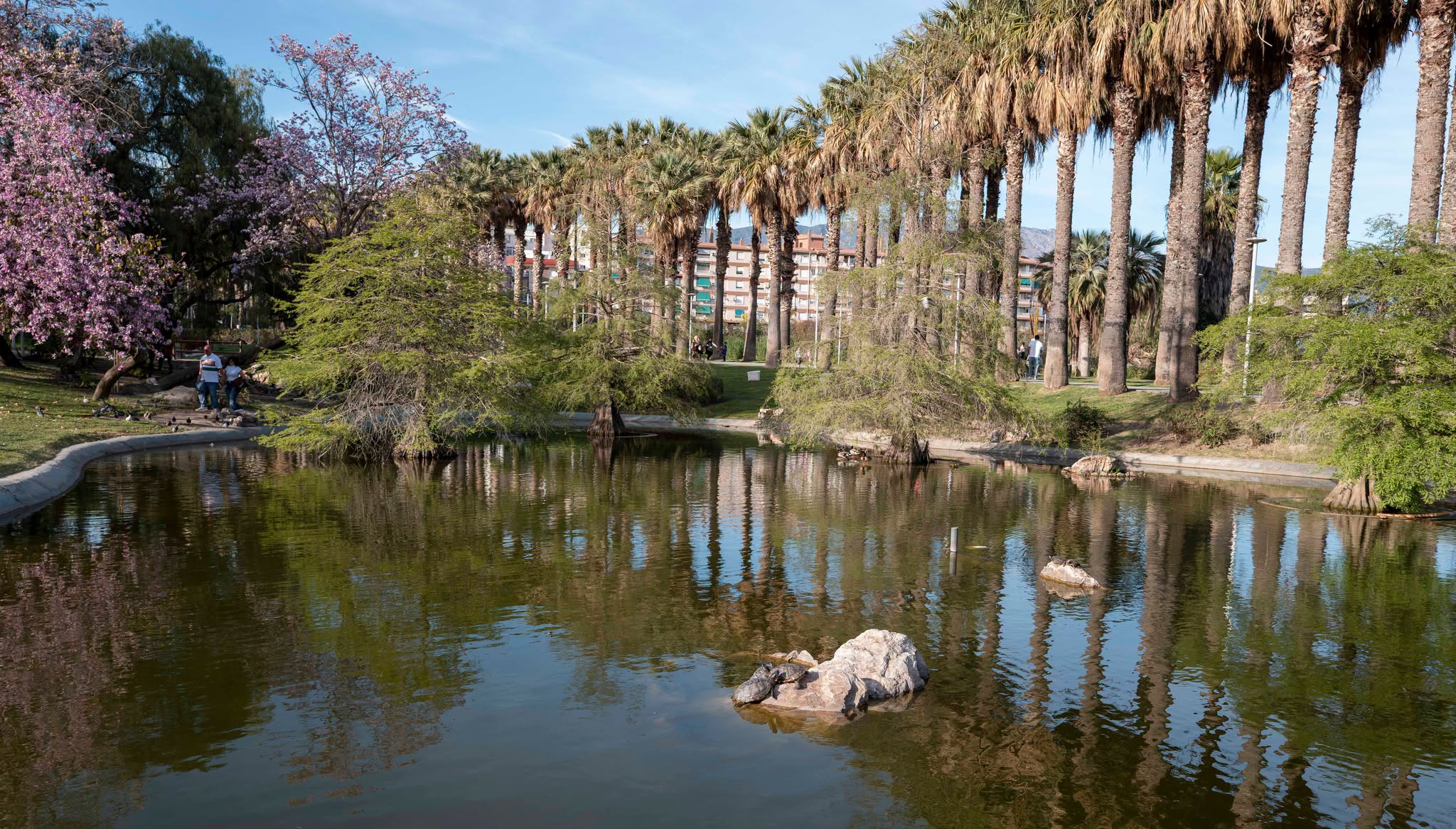 motril-disfruta-hoy-de-un-jueves-soleado-y-con-temperaturas-agradables-de-hasta-24-grados