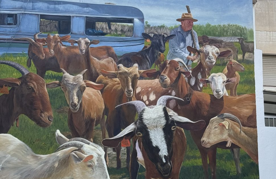 salobrena-se-llena-de-murales-esculturas-y-arte-en-vivo-con-la-tercera-edicion-de-artepeazos