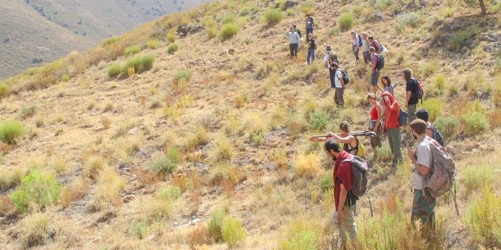 motril-sierra-de-lujar-suma-ya-7-800-nuevas-plantas-y-mas-de-24-300-arboles-y-arbustos-gracias-al-proyecto-de-reforestacion-de-semillistas-en-orgiva